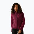 Giacca ibrida donna REGATTA Andreson Hybrid dark pimento