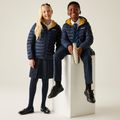 Giacca per bambini REGATTA Hooded Marizion navy/gold flake 11