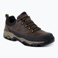 Scarpe da trekking uomo REGATTA Blake Low peat/wood 8