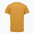 Maglietta da uomo REGATTA Mindoi Anti Insect wood brown 2