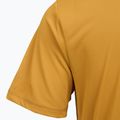 Maglietta da uomo REGATTA Mindoi Anti Insect wood brown 4
