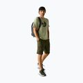 Maglietta da trekking da uomo REGATTA Fingal Stretch light sage 2