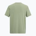 Maglietta da trekking da uomo REGATTA Fingal Stretch light sage 6