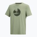 Maglietta da trekking da uomo REGATTA Fingal Stretch light sage 7