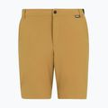 Pantaloncini da trekking da uomo REGATTA Anti Insect Travel Light wood brown 5