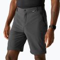Pantaloni da trekking da uomo REGATTA Anti Insect Travel Light ash 5