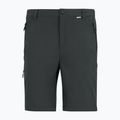 Pantaloni da trekking da uomo REGATTA Anti Insect Travel Light ash 11