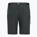 Pantaloni da trekking da uomo REGATTA Anti Insect Travel Light ash 12