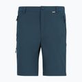 Pantaloni da trekking da uomo REGATTA Anti Insect Travel Light night sky 4