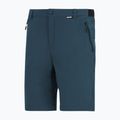 Pantaloni da trekking da uomo REGATTA Anti Insect Travel Light night sky 6