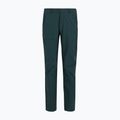 Pantaloni da trekking da uomo REGATTA Highton II night sky 8