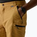 Pantaloncini da trekking da uomo REGATTA Leesville III wood brown 5