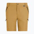 Pantaloncini da trekking da uomo REGATTA Leesville III wood brown 6