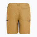 Pantaloncini da trekking da uomo REGATTA Leesville III wood brown 7