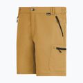 Pantaloncini da trekking da uomo REGATTA Leesville III wood brown 8