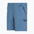 Pantaloncini da trekking da uomo REGATTA Leesville III china blue 7