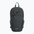 Zaino urbano REGATTA Everyday Prism 20 l ash