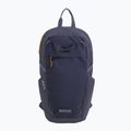 Zaino urbano REGATTA Everyday Prism 20 l night sky