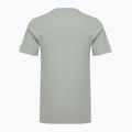 T-shirt da uomo Regatta ClineIX glacier wild scene 2