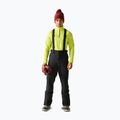 Pantaloni da sci da uomo Dare 2b Achieve III Pant black