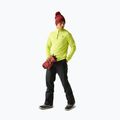 Pantaloni da sci da uomo Dare 2b Achieve III Pant black 2