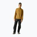 Felpa da uomo Dare 2b Fuse Up II Core Stretch wood brown 2