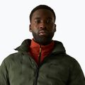 Giacca imbottita da uomo REGATTA Astrel dark khaki/rooibos tea 6