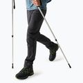 Pantaloni softshell da uomo REGATTA Geo Softshell ash