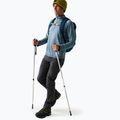 Pantaloni softshell da uomo REGATTA Geo Softshell ash 2