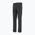 Pantaloni softshell da uomo REGATTA Geo Softshell ash 9