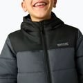 Giacca imbottita per bambini REGATTA Lofthouse black/seal grey 6