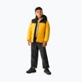 Giacca imbottita per bambini REGATTA Lofthouse black/mustard 2