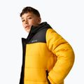 Giacca imbottita per bambini REGATTA Lofthouse black/mustard 6