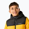 Giacca imbottita per bambini REGATTA Lofthouse black/mustard 7