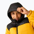 Giacca imbottita per bambini REGATTA Lofthouse black/mustard 8