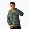Giacca imbottita per bambini REGATTA Lofthouse dark forest green/wild lime 4