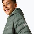 Giacca imbottita per bambini REGATTA Lofthouse dark forest green/wild lime 9