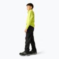 Pantaloni da trekking per bambini REGATTA Highton Winter RKJ176 black 3