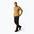 Pile uomo REGATTA Yonder II wood brown 2