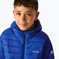 Piumino bambino REGATTA Hooded Marizion olympian blue/aviator blue 6