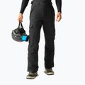 Pantaloni da sci da uomo Dare 2b Baseplate Insulated Pant black