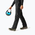 Pantaloni da sci da uomo Dare 2b Baseplate Insulated Pant black 4