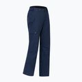 Pantaloni da sci da uomo Dare 2b Baseplate Insulated Pant navy 11