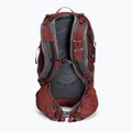 Zaino da trekking Gregory Citro 24 l rosso mattone per uomo 2