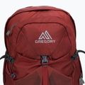 Zaino da trekking Gregory Citro 30 l rosso mattone per uomo 3