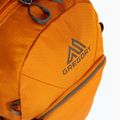 Gregory Nano 18 l zaino ambra bruciato 4