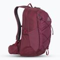 Gregory Kiro 22 l ametista viola zaino da trekking 2