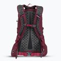 Gregory Kiro 22 l ametista viola zaino da trekking 3