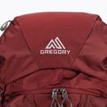 Zaino da trekking da uomo Gregory Baltoro 65 l M rosso mattone 3