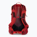 Zaino da trekking Gregory Miko 15 l sumac red da uomo 3
